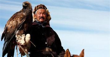 莱阿法梅斯,揭秘投资大师的智慧与策略