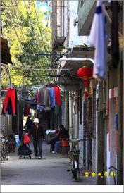 街头巷尾,探寻城市生活的脉动与魅力